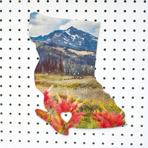 BC Landscape <br> Photo on Birch Wood Panel <br> Pre-Order Limited Stock <br>SHIPS FREE