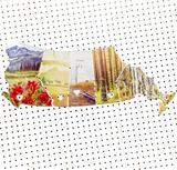5 Province Collection No. 2 <br> Photos on Birch Wood Panels<br>SHIPS FREE