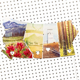4 Province Collection No. 2 <br> Photos on Birch Wood Panels<br> SHIPS FREE