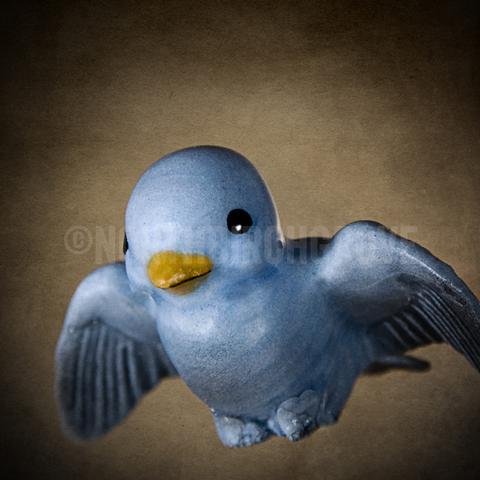 Discontinued Print<br>Antique Porcelain Blue Bird<br> Archival Fine Art Chromogenic Print